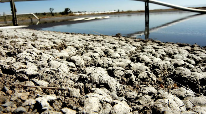 Veracruz – Clausuran 1 de las 51 plantas de Granjas Carroll en Veracruz tras acusación por contaminar el agua (El Financiero)